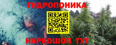 трава Славгород