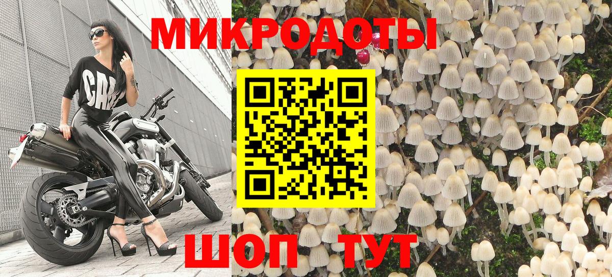 Псилоцибиновые грибы мицелий  купить наркоту  Анапа  Вход с VPN  Галлюциногенные грибы ЛСД 