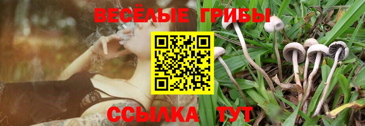АМФЕТАМИН кристаллы  Вход с VPN  Кокаин  Меф МЯУ МЯУ кристаллы  Гашиш  Анапа  Гашиш  Бошки Шишки 